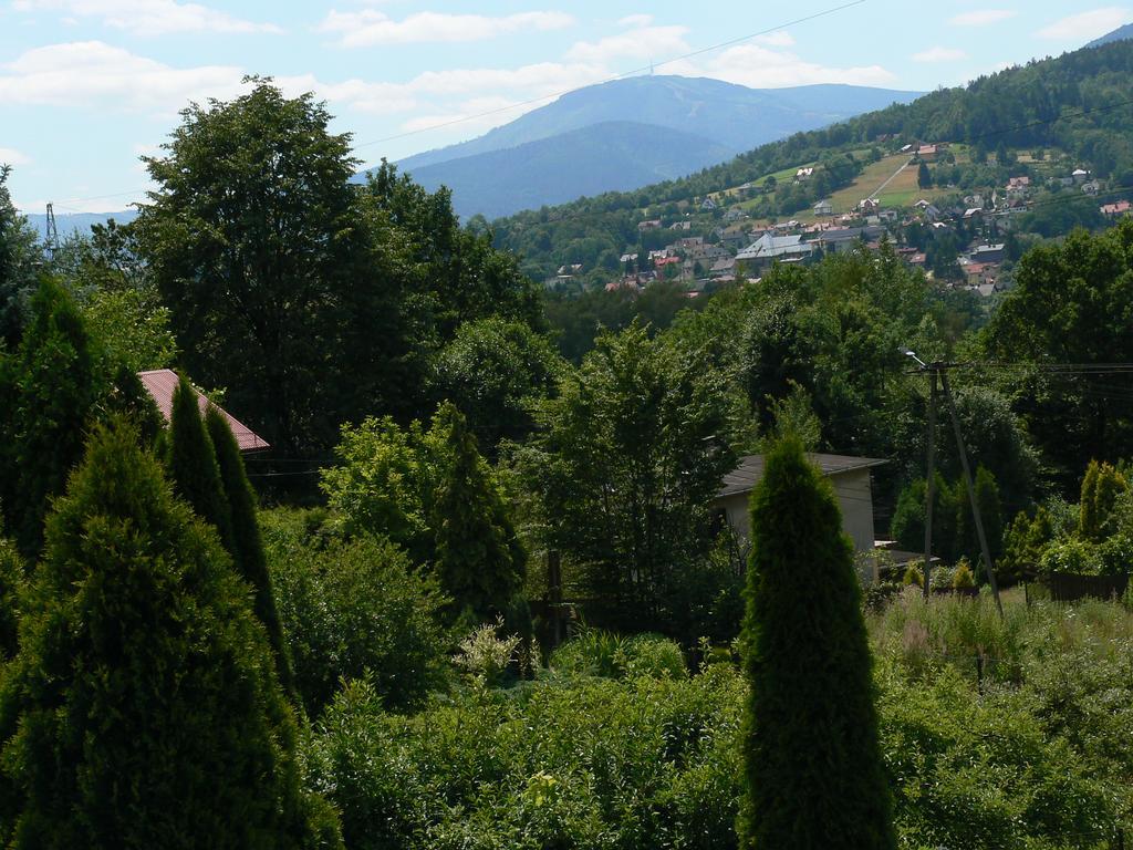 Noclegi W Ksiegarni Bielsko-Biala Exterior foto